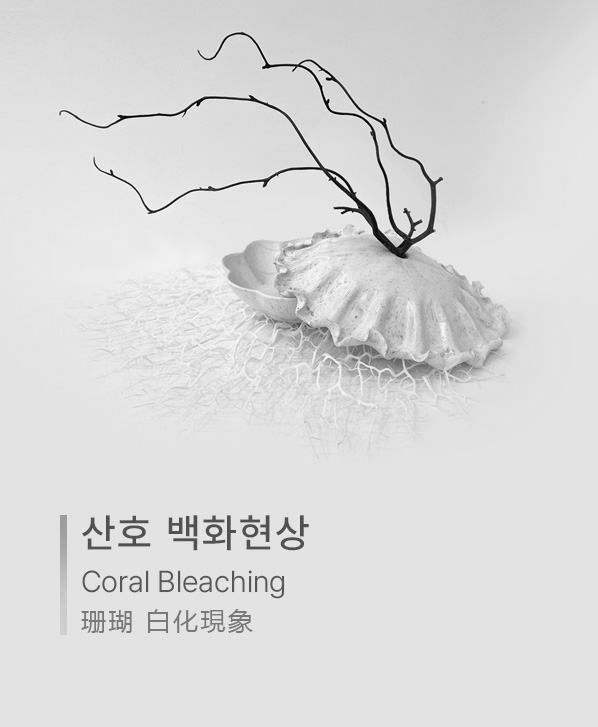 산호 백화현상 · Coral Bleaching